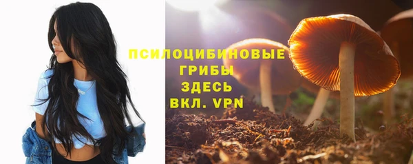 мяу мяу мука Абаза