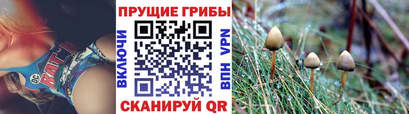 Псилоцибиновые грибы Psilocybe  дарк нет как зайти  Серпухов  где купить наркоту 